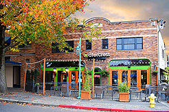 WATERCRESS HALLOWEEN